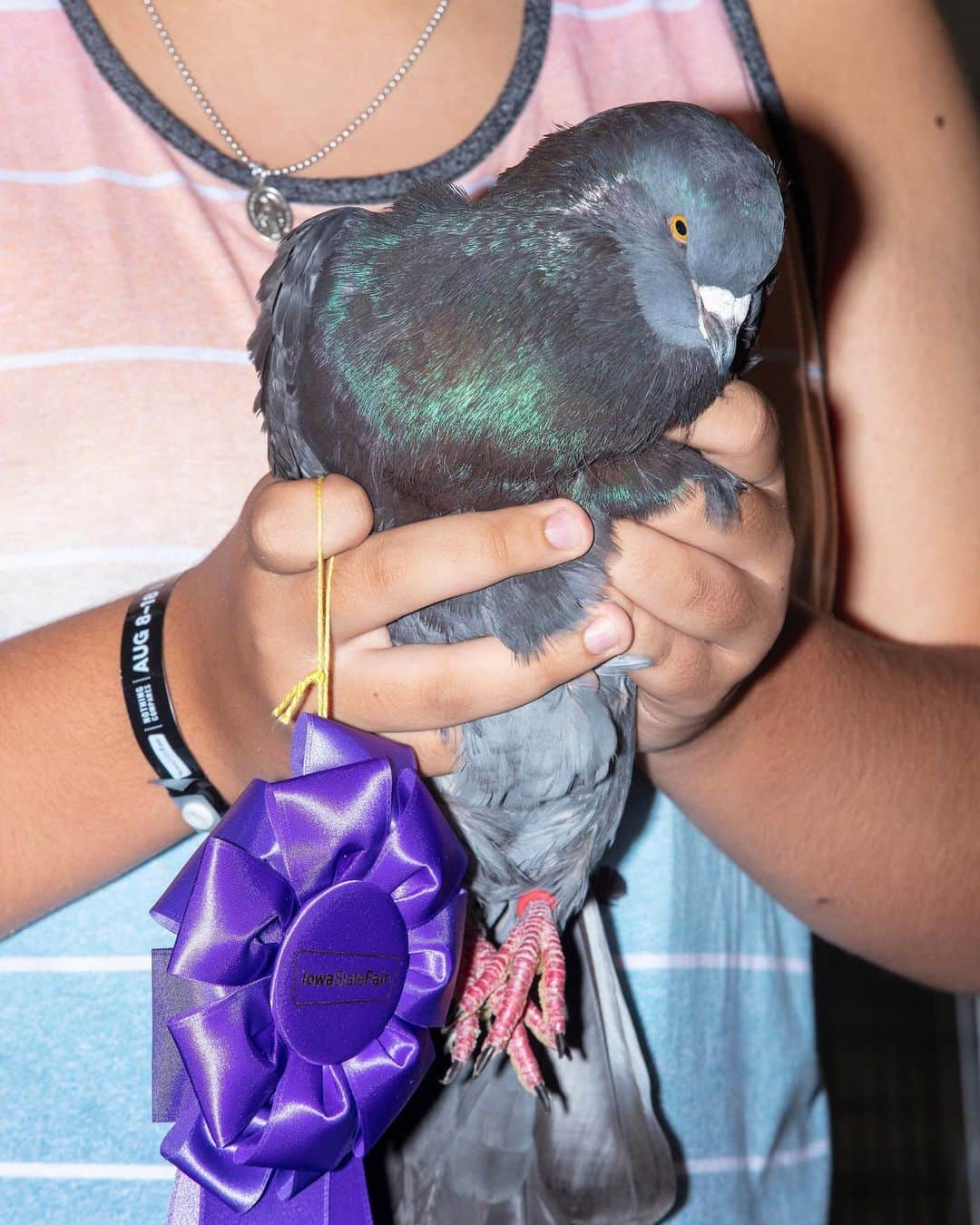 TIME Magazineさんのインスタグラム写真 - (TIME MagazineInstagram)「Pigeon competitions and award-winning potatoes are just some of the highlights at the #Iowa State Fair, which kicked off Aug. 8 and will wrap up on Aug. 18 in Des Moines. Not to mention all the Democratic presidential candidates, which are trying to foster connections with voters ahead of the Iowa caucus in February 2020. In these photographs: potatoes are displayed on Aug. 10; a boom mic is seen above the fray as @pete.buttigieg greets fair-goers on Aug. 13; an overflowing trash can; people look up as Buttigieg rides the Sky Glider; and Jett Thomas, 17, holds his 2.1-pound pigeon after judging in the Heaviest and Lightest Pigeon Contest on Aug. 12. (It's not his first win.) See more pictures at the link in bio. Photographs by @mscottbrauer for TIME」8月18日 1時17分 - time