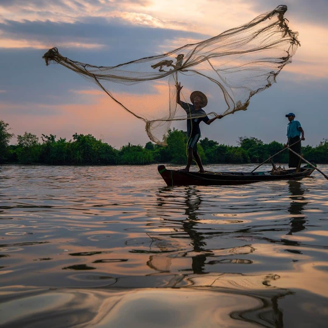 Michael Yamashitaさんのインスタグラム写真 - (Michael YamashitaInstagram)「Fishing with dolphins in Takaung, Irrawaddy River: here the dolphins are famous for helping fishermen. The fishermen summon the dolphins to chase fish close to their boats by rhythmically tapping the sides of the boat with a stick or jingling their nets. When they see the dolphin crest the surface, the nets are cast and the dolphin is rewarded with some of the catch. Unfortunately, the nets came up empty, as well as a good photograph of the dolphin, which stayed a good 20 meters away. #Irrawaddy #Myanmar #riverlife #Mandalay」8月18日 7時00分 - yamashitaphoto