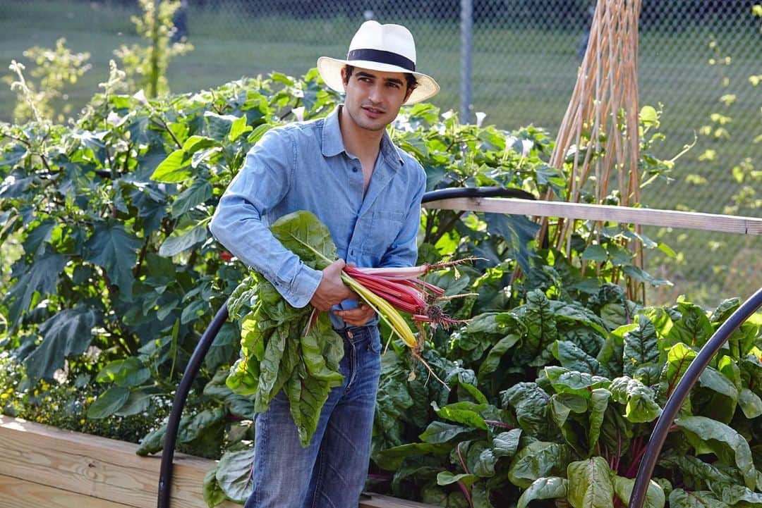のインスタグラム：「Lunch time From the veggie garden!!! #cookingwithzac #growyourownfood」