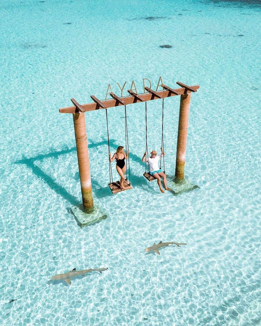 bestvacationsさんのインスタグラム写真 - (bestvacationsInstagram)「Tag who you’d take here! Crystal clear blues in the Maldives! 📷 by @weddingsinmaldives @kyrenian @alifeiimagined @michutravel」8月18日 3時16分 - bestvacations