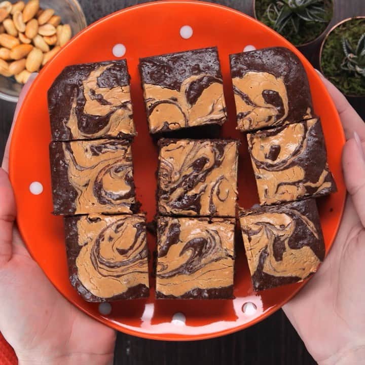 のインスタグラム：「Protein Peanut Butter Brownie Swirls that are both a taste bud & body pleaser. 😏 • 👉 FULL RECIPE LINK IN BIO (swipe left to 2nd card) 👈 • Per brownie (recipe makes 9): 10g protein, 15g carb (5g fiber), 7g fat. (1g sugar) (5g net carbs) #OnaQuest #Questify #QuestNutrition」