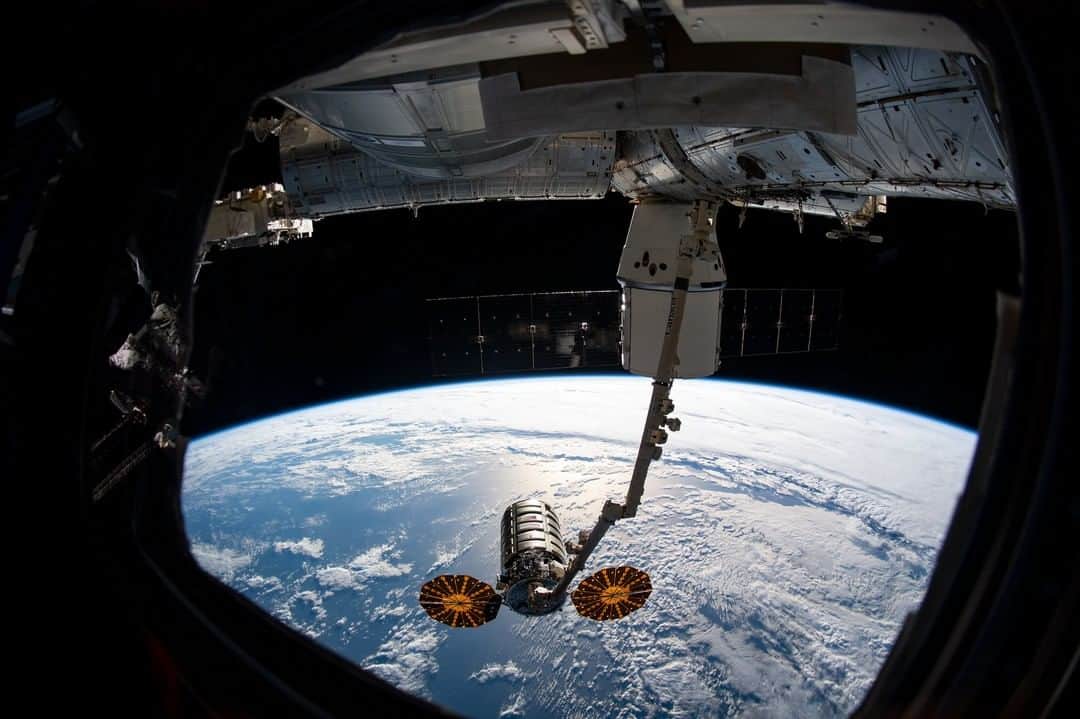 NASAさんのインスタグラム写真 - (NASAInstagram)「A Spacecraft Duo! The @NorthropGrumman Cygnus and @SpaceX Dragon spacecrafts are seen in this August 6 view from the International Space Station (@ISS). The Cygnus resupply spacecraft is shown grappled by the #Canadarm2 robotic arm following its detachment from its docking port on the orbiting outpost and just before release. Behind the robotic arm, the Dragon is seen still attached to the station. Both spacecraft are currently re-supplying the orbiting laboratory with science and supplies to support the crew.  Image credit: NASA  #Cygnus #Dragon #SpaceX #Earth #Views #ISS」8月18日 4時03分 - nasa