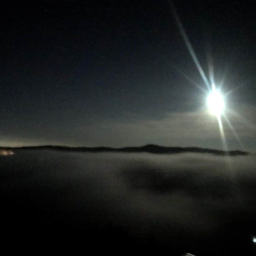 ニア・ピープルズさんのインスタグラム写真 - (ニア・ピープルズInstagram)「Another amazing night at the top of #topanga #mothergaia rolls  the fog in off the ocean bringing with it the mystery of the #unknown... and so I lean in. #wanderlust #wonder #smile」8月18日 16時16分 - niapeeples