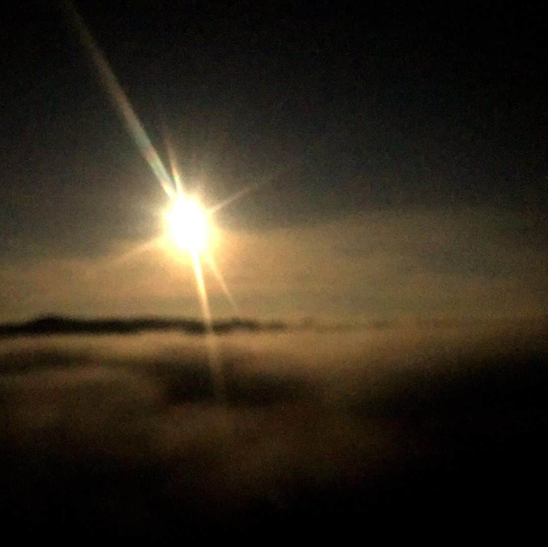 ニア・ピープルズさんのインスタグラム写真 - (ニア・ピープルズInstagram)「Another amazing night at the top of #topanga #mothergaia rolls  the fog in off the ocean bringing with it the mystery of the #unknown... and so I lean in. #wanderlust #wonder #smile」8月18日 16時16分 - niapeeples