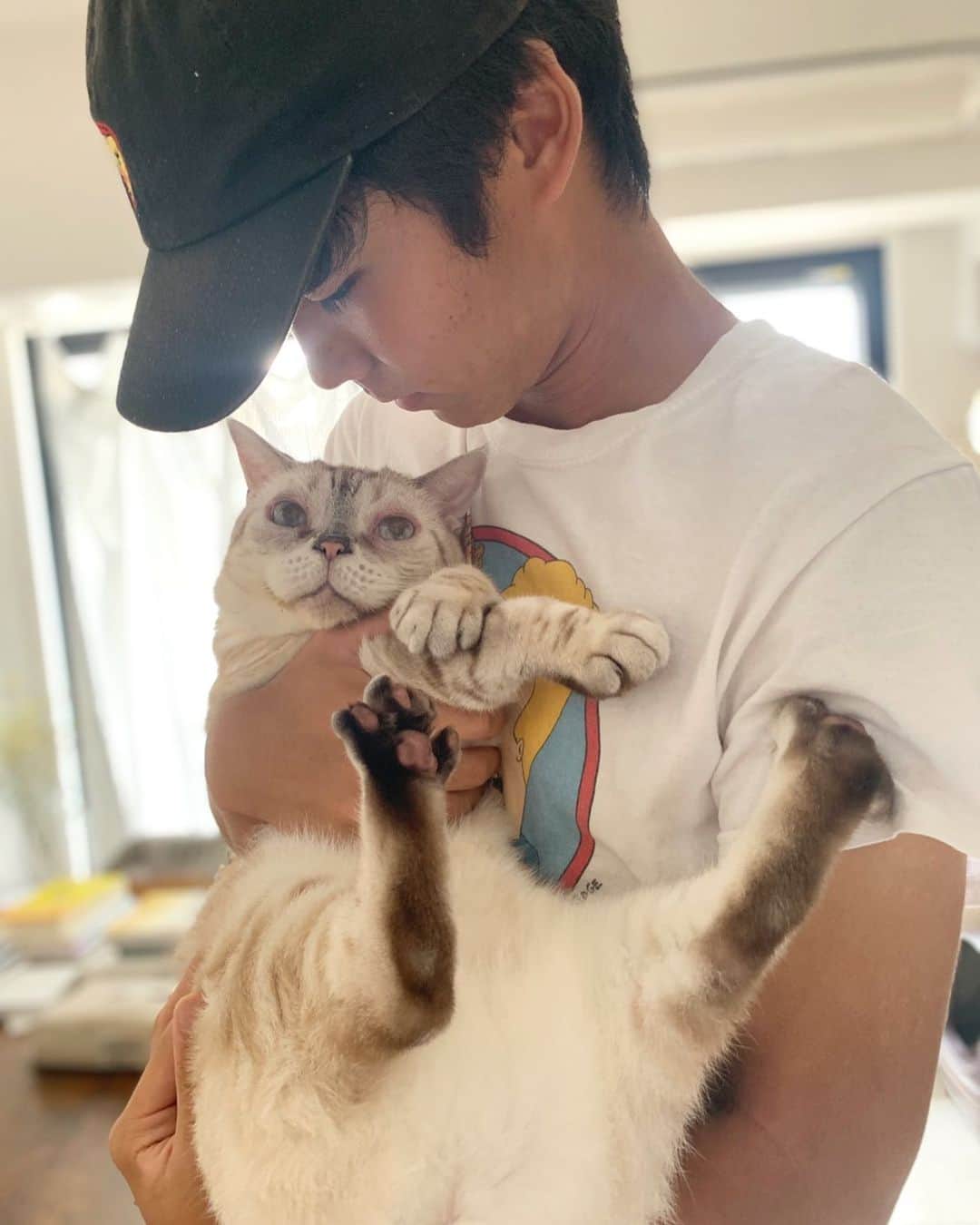 のインスタグラム：「出張中ガルちゃんのお世話にきてくれた友達の息子くん💛 ガルちゃんも慣れてきたみたい😻 #かわいい2人の見つめ合い #いつもありがとね😸」