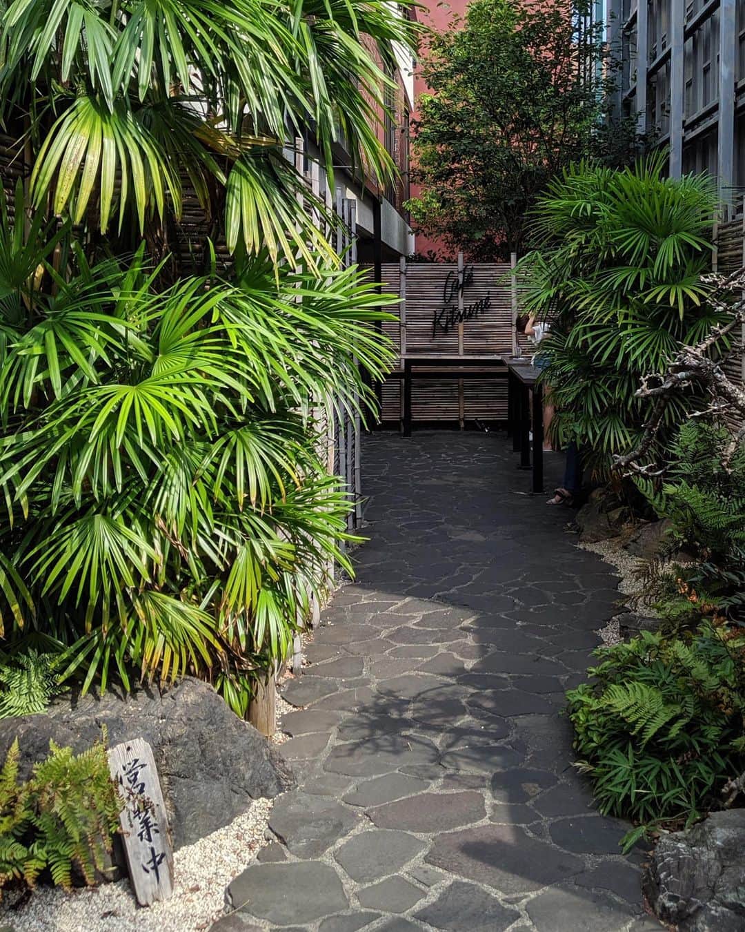 関根正悟のグルメインスタ