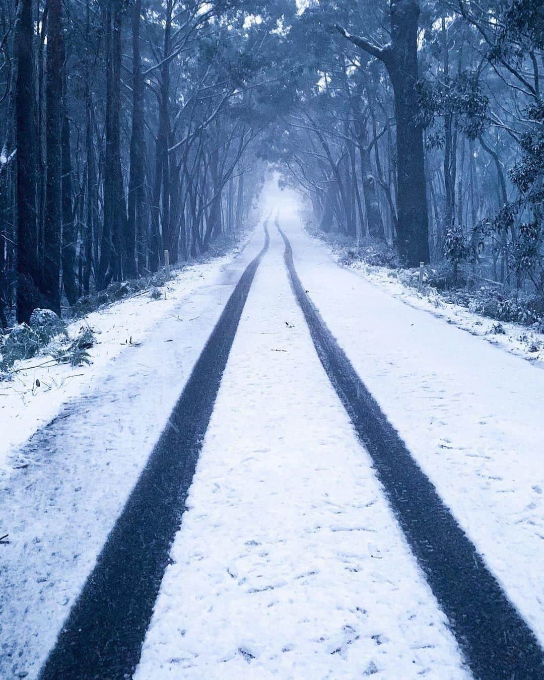 Australiaさんのインスタグラム写真 - (AustraliaInstagram)「There’s snow way this road doesn't lead to a magical castle. ❄️ @lisamilne recently visited @thegrampians where the snowfall has turned it into a #winter wonderland straight out of a fairytale. A three-hour drive from @visitmelbourne, #GrampiansNationalPark has an incredible mountain landscape dotted with small towns like #HallsGap, Dunkeld and Stawell, perfect for a road trip. Stay at the @dulccabins treehouse to fully immerse yourself in nature, or treat yourself to a mountain view room at @royalmailhotel for a deluxe hideaway.  #seeaustralia #visitvictoria #grampians #snow #thegreatoutdoors #hikingadventures #travel」8月18日 15時00分 - australia