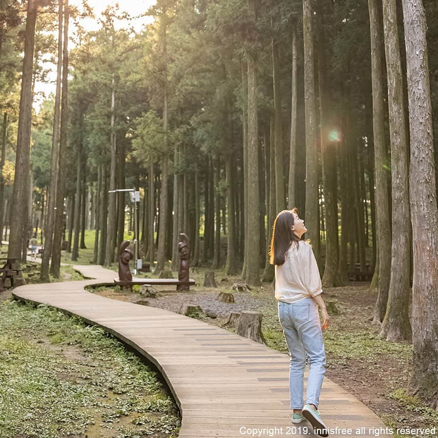 innisfree official (이니스프리) さんのインスタグラム写真 - (innisfree official (이니스프리) Instagram)「This vacation, I'm going to relax surrounded by nature📖 What are your vacation plans? ⠀ 이번 휴가는 자연 속에서 여유를 즐겨볼까 해요📖 여러분의 휴가 계획은 어때요?」8月18日 15時01分 - innisfreeofficial