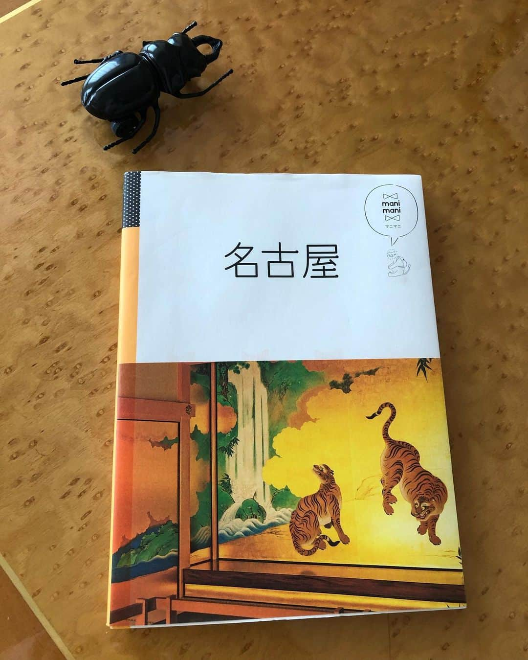 吉原珠央さんのインスタグラム写真 - (吉原珠央Instagram)「またね名古屋♫ 帰省中の心友とのタイミングが合わず彼女とは会えませんでしたが、いつもホテルやお店の方々が親切で来ると元気になる場所♡  #名古屋 #一泊 #ガイドブック #読んで楽しむ #まだどちらにも行けていません🤣 #いつも近場 #それでも充分楽しいのです #カブトムシ #息子のおもちゃ #リアルすぎて #夜中 #びっくり #腰が抜けるよ」8月18日 16時03分 - tamaoyoshihara