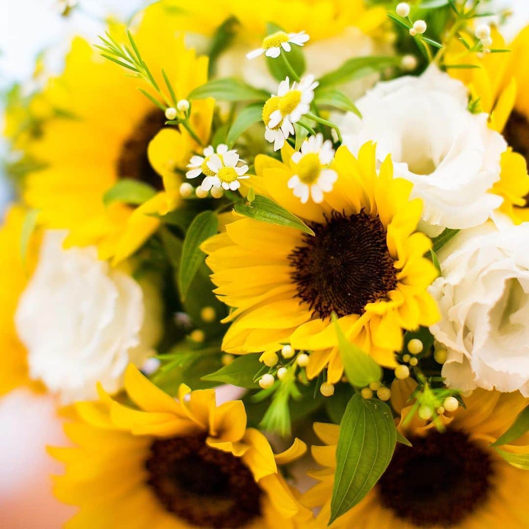 指帆亭のグルメインスタ