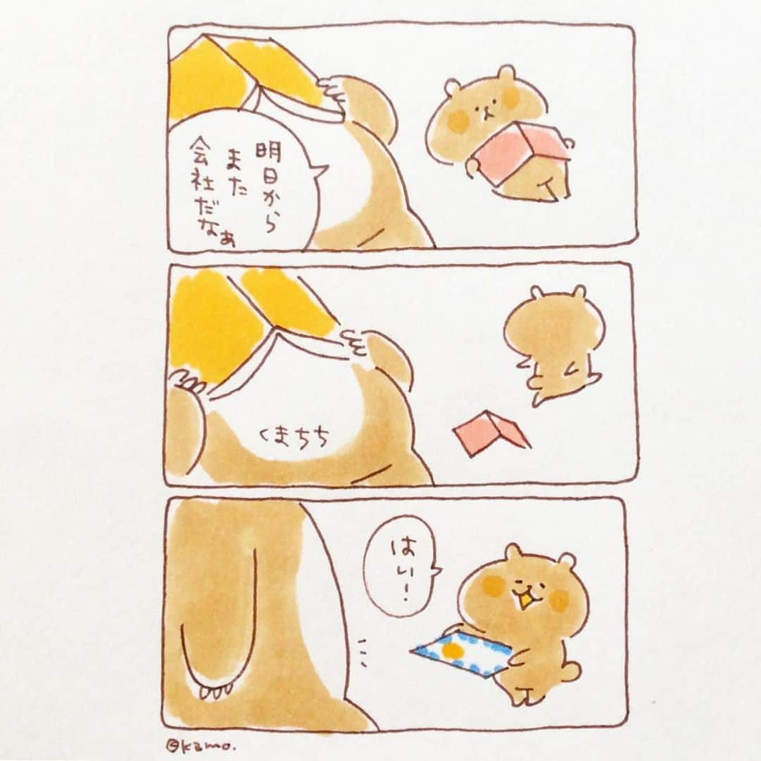 カモのインスタグラム