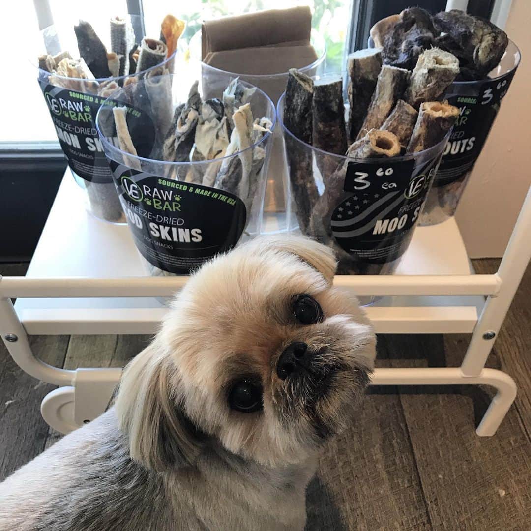 Dogs by Ginaのインスタグラム：「Treat please!  @vitalessentialsraw @dailydougie」
