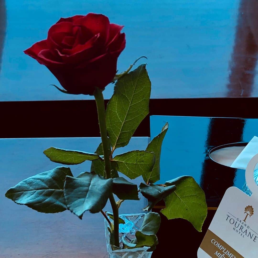 のインスタグラム：「เก็บดอกกุหลาบแดงไว้ให้เธอ เก้าพันเก้าร้อยเก้าสิบเก้าดอก♪ Thanks for a red rose🌹It's my most favorite flowers❤️赤が好きってホテルに言ってたら部屋に大好きな赤薔薇置いてくれたの😍 @grandtourane.hotel  #danang #ダナン  #❤️ #🌹 #ダナンの人はマジ優しい」