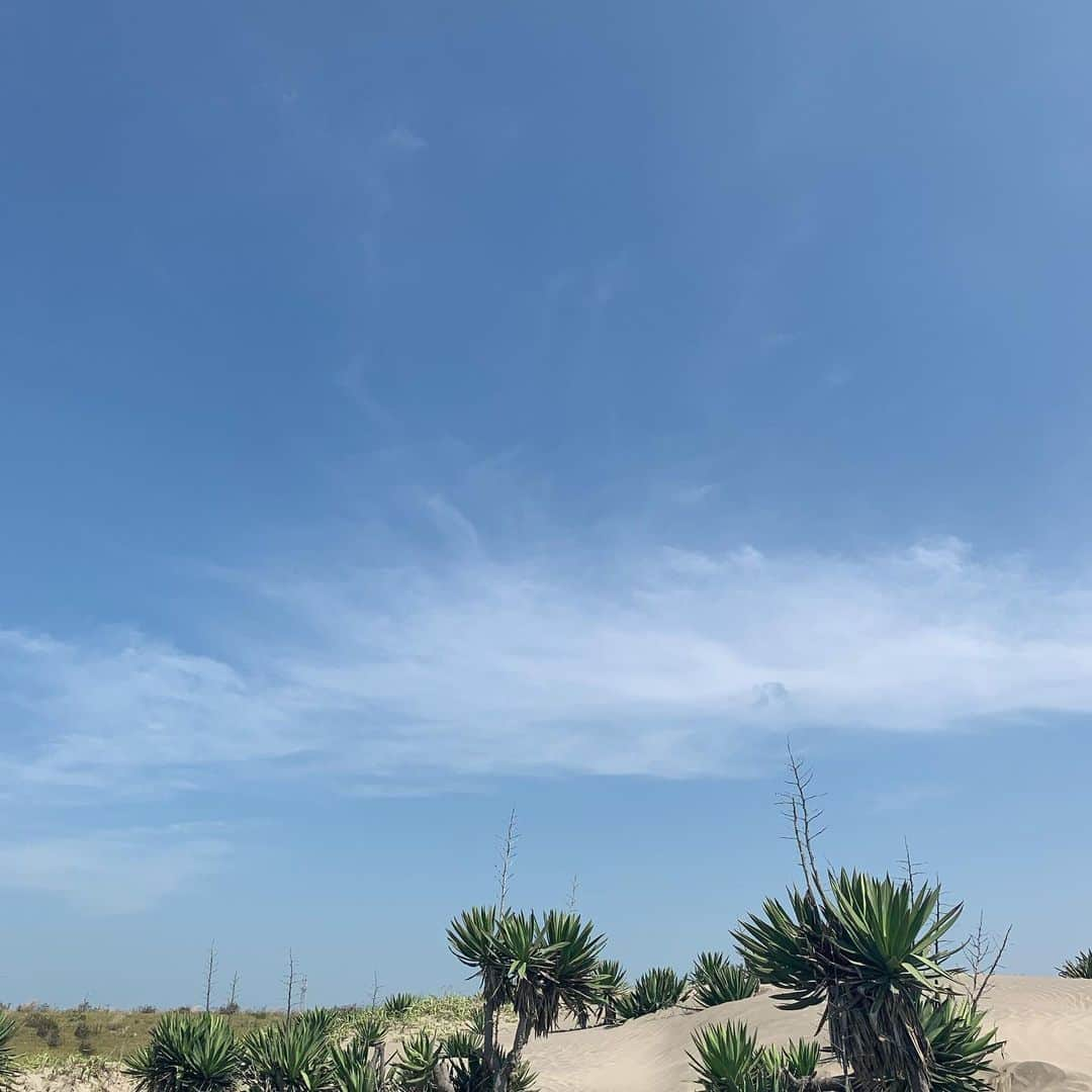 萩原舞さんのインスタグラム写真 - (萩原舞Instagram)「summer'19🍉」8月18日 10時37分 - mai_hagiwara_22462