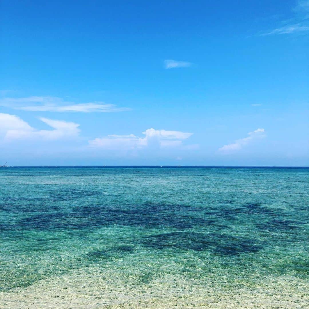 セソコマサユキのインスタグラム：「帰ってきたー。やっぱ沖縄気持ちいいな。」