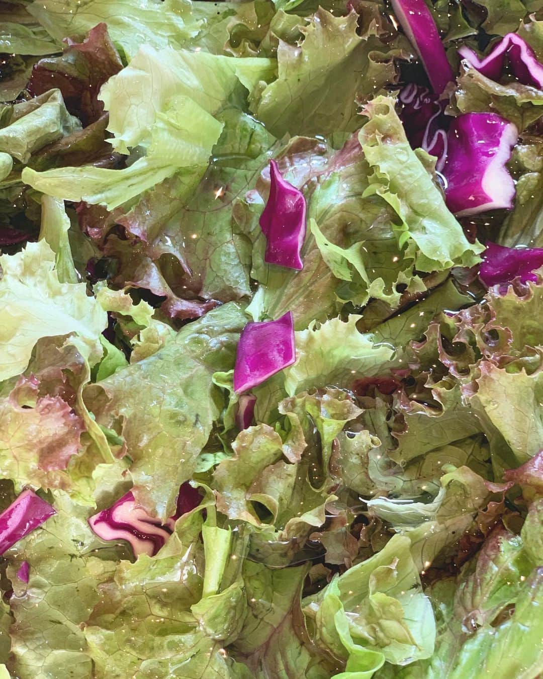 WorldNeighborsCafe/SoooLiquidのグルメインスタ