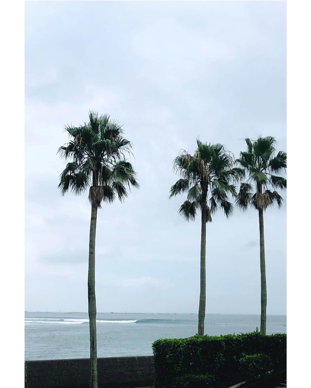 幸太さんのインスタグラム写真 - (幸太Instagram)「Happy moments in OBON  お盆も終わって、8月も折り返しですね‼️ 毎日のように酷暑でしたが💦  良い波にも当たれたし🏄‍♂️ 色んな所から友達が店 @cafe_beach_tree & @hair_esthetic_beachtree にも遊びに来てくれて、  幸せな日々ですぅー😊  皆んなはどんなお休みを過ごしてますかー  さっ、今日も楽しんで行きましょうねー  #obon #surf #tyhoonswell #family #friends #cafe #hairsalon #atsugi #beachtree #smile #goodvibesonly  #お盆休み #波乗り #家族 #幸せな時間 #子供いっぱい #本厚木 #ビーチツリー #カフェ #ヘアサロン #仲間 #モデル #オーナー」8月18日 11時20分 - kotawave