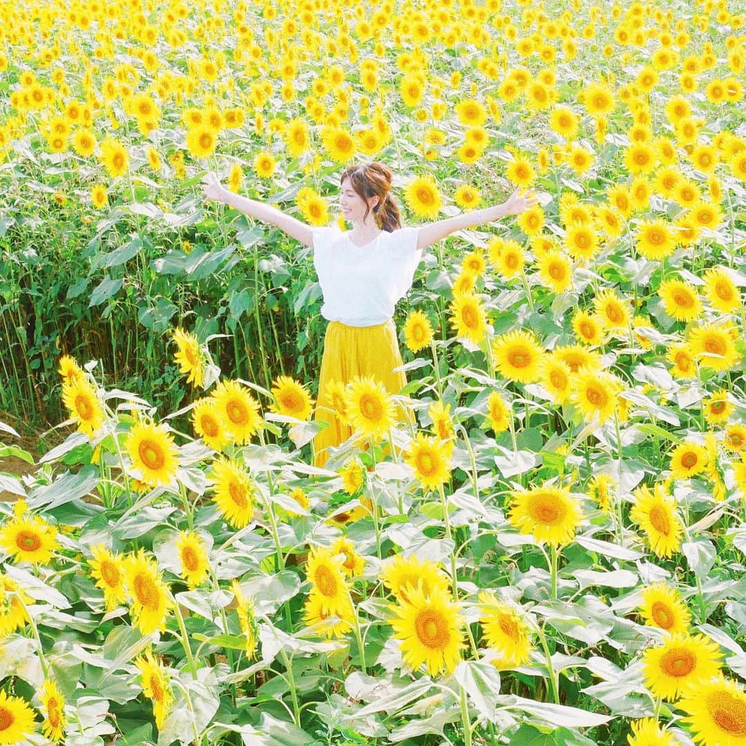 minsayuさんのインスタグラム写真 - (minsayuInstagram)「* てぃーてぃてぃーてぃーてぃてぃてぃーー🕺🌻 黄金色の輝きひまわり🌻🌻🌻 今回は初の四ツ谷会場へ🌻 空いていてお勧めです🌻🤤🌻」8月18日 11時53分 - minsayu