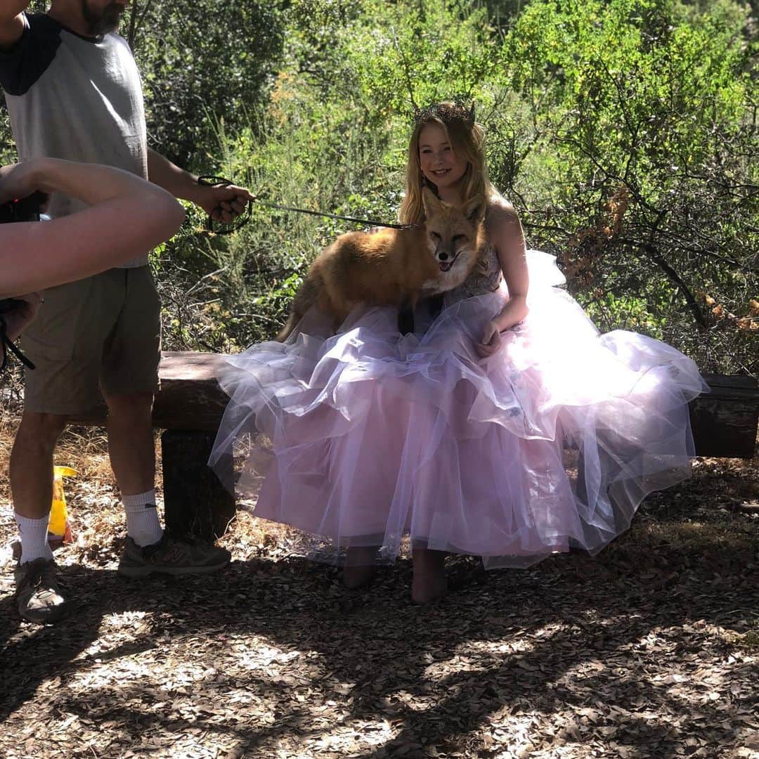 Rylaiさんのインスタグラム写真 - (RylaiInstagram)「Such a sweet photoshoot today!!! These girls had about 3 wardrobe changes and were absolutely wonderful with Viktor... . Of course everything was much smoother when Dave came to handle... you know some people that just speak to animals in a whole different language, that have that magical energy that immediately calms them??? That is a Dave.... he was swamped trying to get the deck finished, the water tank connected, deal with some lame ass contractors (who threw cigarette butts everywhere!!) - finish the inside of the center, and save the world... so I managed the Photoshoots today.... but they didn’t seem to go as they usually do... Viktor was a bit more hyper... wanting to explore.... so, I interrupted Dave from the very needed job of working on the deck.... and the entire energy changed... Viktor was like- oh- you wanted me to sit on he bench, cuddle with the cut kids?? Got it!!!! . I wish so much we could find ethical contractors (is that an oxymoron) to get us where we need to be for the Grand Opening.... but I am exhausted from being played by the broken promises, lies and lack of ethics we have so often experienced trying to build the center...so instead of working on our programs and educational material, Dave is doing it all... I am just so blessed that we have some true gems in our tight volunteer group that are beside us... helping... believing.... so grateful for those that support the center and see what we can accomplish together!!! . . #contractors #unethical #dishonest #shameonthem #supportlocal #support #nonprofits #struggle #deckbuilding #help #labor #volunteers #angels #love #grateful #gratitude #canids #viktor #foxwhisperer #love #russians #kids #photoshoot #BTS #photo #photography #sandiego #deck #tiling #landscaping #clearing」8月18日 11時54分 - jabcecc