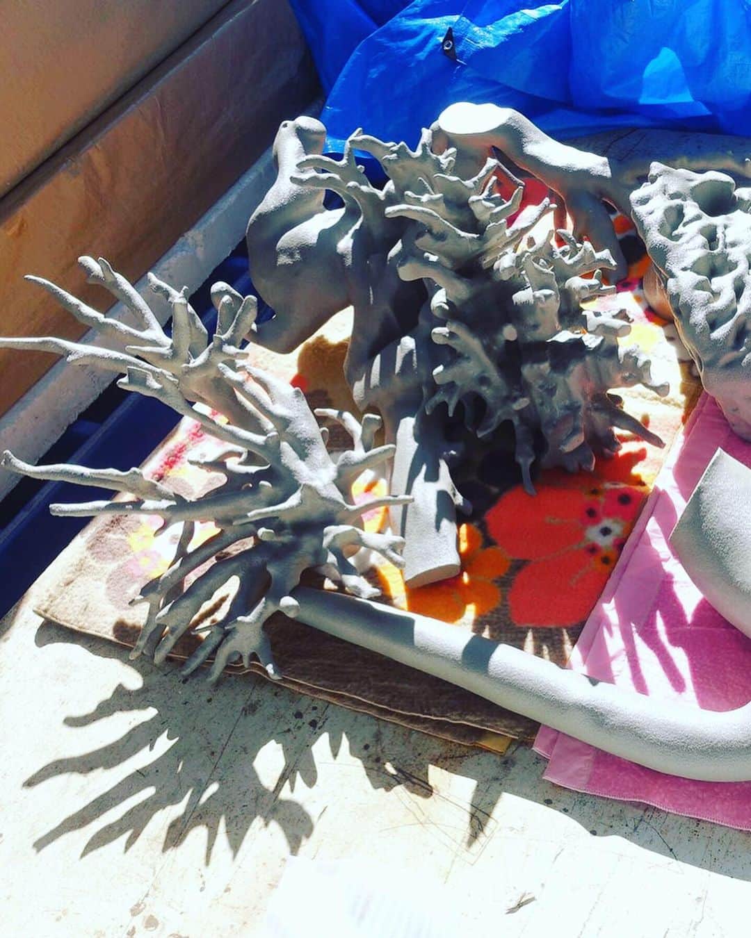 スプツニ子!さんのインスタグラム写真 - (スプツニ子!Instagram)「9/5から始まるArs ElectronicaでAnotherFarm新作"TRIAINA”を発表します。海の生態系と共に成長していく海中彫刻。作品詳細は来月の作品発表後に公表します。オーストリアのリンツに行かれる方は是非観に来て下さい！ #Repost  @another_farm will be showing our new ocean sculpture piece “TRIAINA” at Ars Electronica Festival from 9/5 in Linz, Austria 🇦🇹 The photos are work in progress...! More information coming soon🤭#anotherfarm #masayakushino #sputniko #arselectronica #triaina #comingsoon #tfc」8月18日 11時55分 - 5putniko