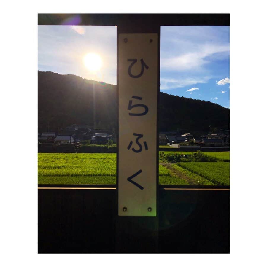 森千波さんのインスタグラム写真 - (森千波Instagram)「8/5🎐🎐🎐🎐🎐🎐🎐🎐 #青春18きっぷ #風鈴#寺#日本#夏#temple#Japan#summer」8月18日 11時55分 - 1000wave