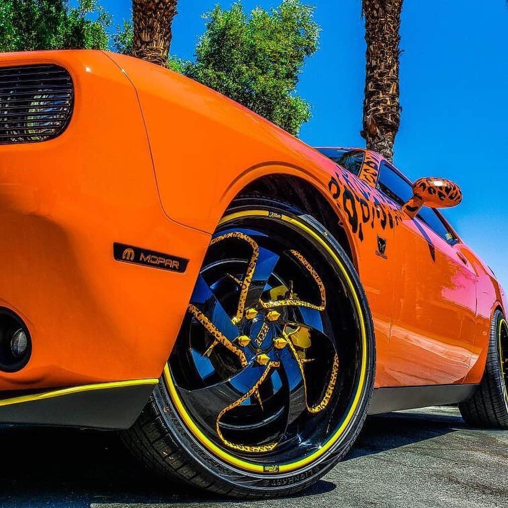 CarsWithoutLimitsさんのインスタグラム写真 - (CarsWithoutLimitsInstagram)「One powerful kitten with Katpack 🐅 Owner/Photo @kitten_challenger  #carswithoutlimits #dodge #challenger #mopar #orange #kitten」8月18日 12時04分 - carswithoutlimits