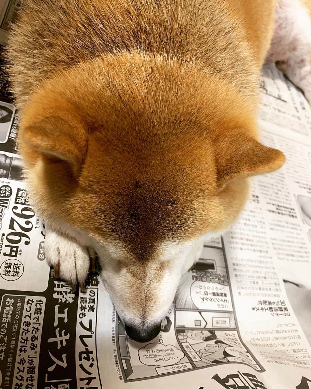宮城麻里子のインスタグラム
