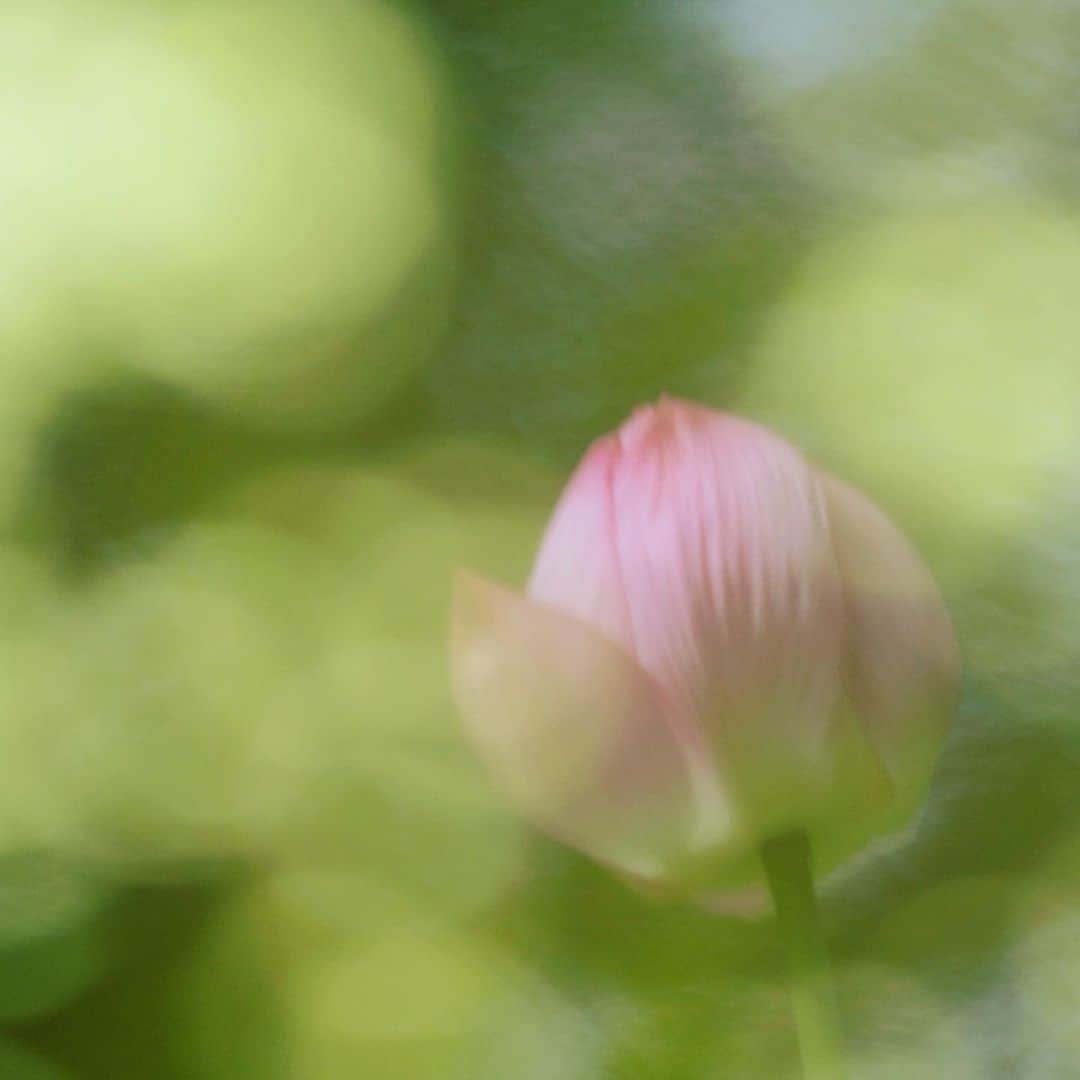 山人のグルメインスタ