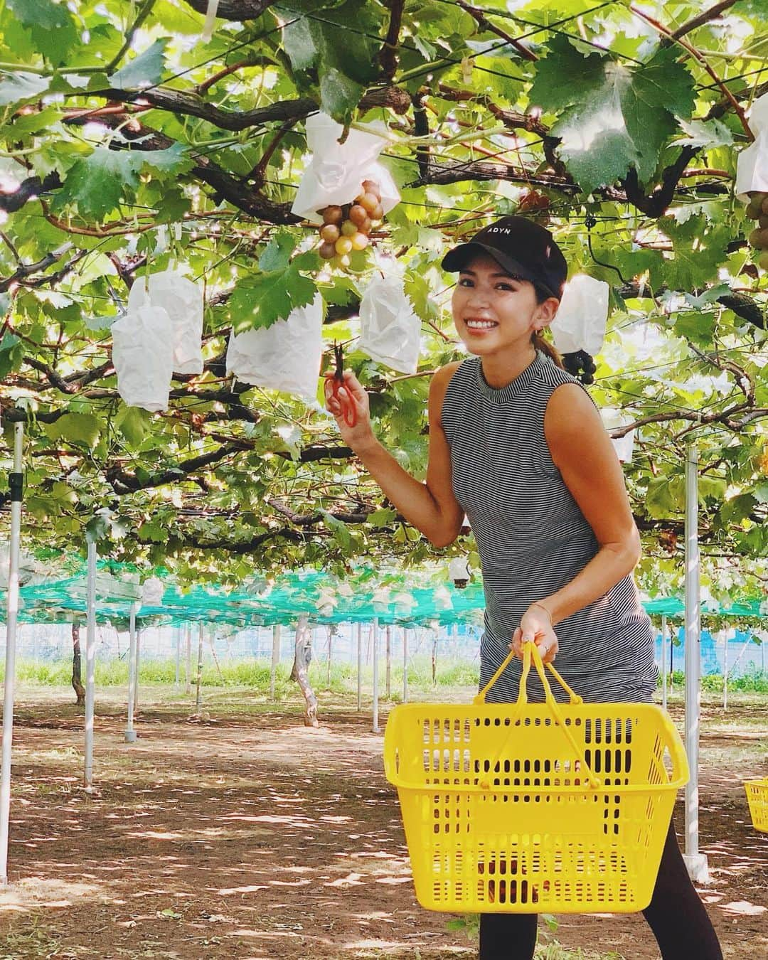 来夏さんのインスタグラム写真 - (来夏Instagram)「#🍇 都内で夏らしいこと🌻 久しぶりの #ぶどうもぎとり 👒 大きくて甘くて美味しかった☺️ 来月はマスカットとりにいくぞ💚  その土地のものをいただく #地産地消 できるだけとりいれていたい🥕  私が食べたものが 私をつくり  子供にも直接伝わるんだと思うと  食べるものはしっかり目でみて選んで 手作りで🥣🙏 #summer #2019 #山崎ぶどう園 #ぶどう狩り #ブラックビート #藤稔」8月18日 12時29分 - rairairaika