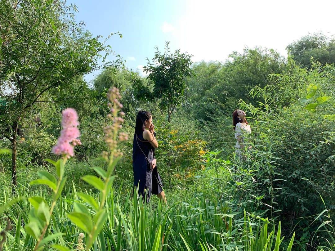ミナ さんのインスタグラム写真 - (ミナ Instagram)「가을의 시작에서 꾼 여름꿈🌿」8月18日 12時27分 - blossomh_