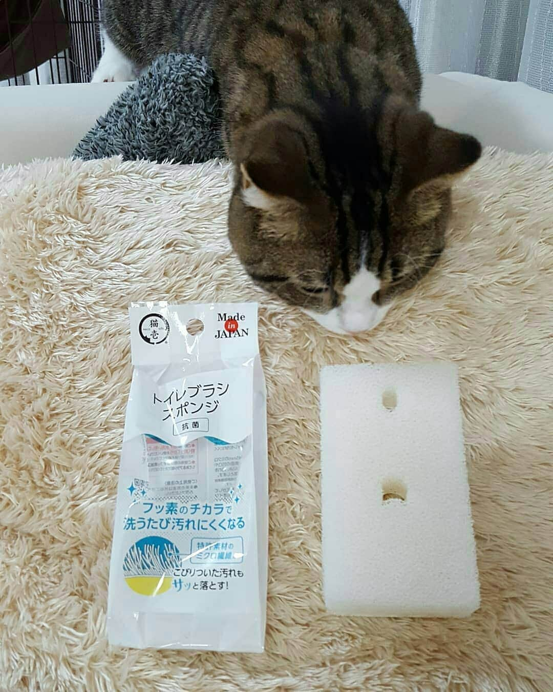 猫壱（ねこいち•ネコイチ）さんのインスタグラム写真 - (猫壱（ねこいち•ネコイチ）Instagram)「, これにゃぁに？ ▫ ▫ #トイレブラシスポンジ気になるね♪ #トイレがきれいになったら #きもちいいよ✨ ▫ ▫ :::::::::#猫壱 ::::::: Instagramに登場した商品はプロフィールのリンクよりご覧いただけます🎶 お写真の商品は#トイレブラシスポンジ でした🐱✨👍 気になる方は @necoichicojp からチェックしてくださいね❤ ▫ ▫ Repost from @tomo_nan_nan thank-you💕💕💕💕」8月18日 12時56分 - necoichicojp