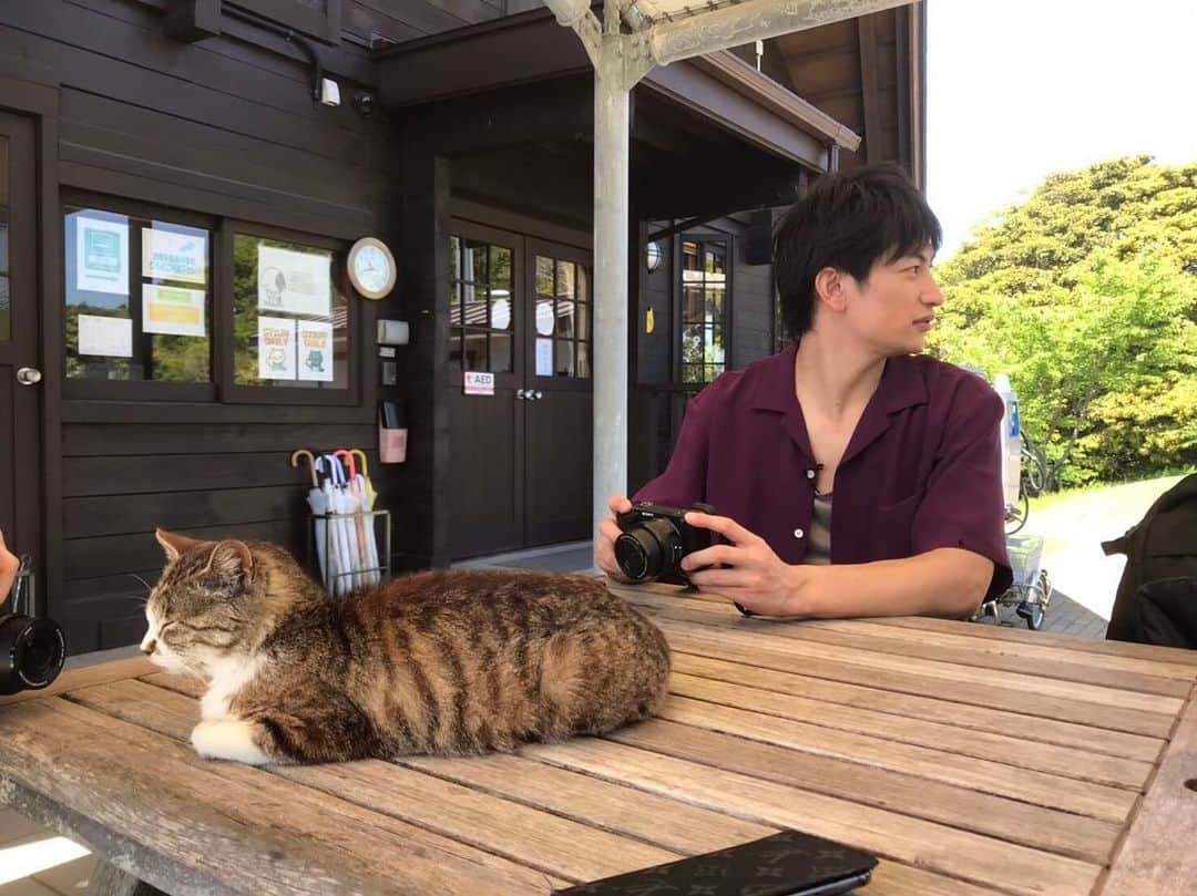 のインスタグラム：「2019年10月からテレビ神奈川等で放送予定の 「ボクらと島ネコ。」に出演します✨ 相棒有澤しょーちゃんと共に田代島に行きました。 「ボクらと島ネコ。」完成披露イベント決定🎉✨ 日程は10/20（日）、場所はＫＦＣホール！ 詳細は公式HPをご確認ください🐈  tvk-yokohama.com/shimaneko/  #ボクらと島ネコ  #伊万里有 #有澤樟太郎  #tvk」