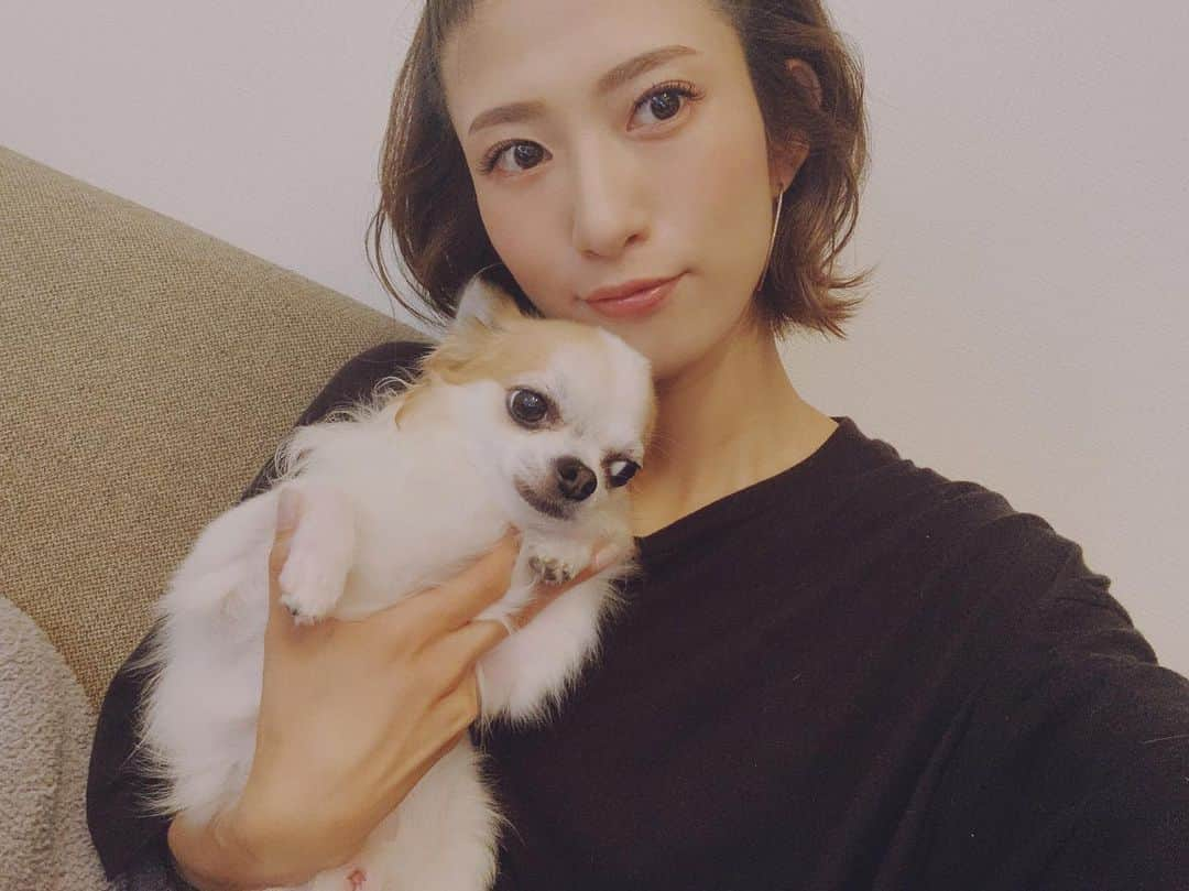 柳めぐみさんのインスタグラム写真 - (柳めぐみInstagram)「. . 今からチョロと遊びに行くよ。 初めての場所だから絶対ビビって遊べないに1票🤭 何事も経験！ . #愛犬 #愛犬との休日」8月18日 13時42分 - yanameguchan