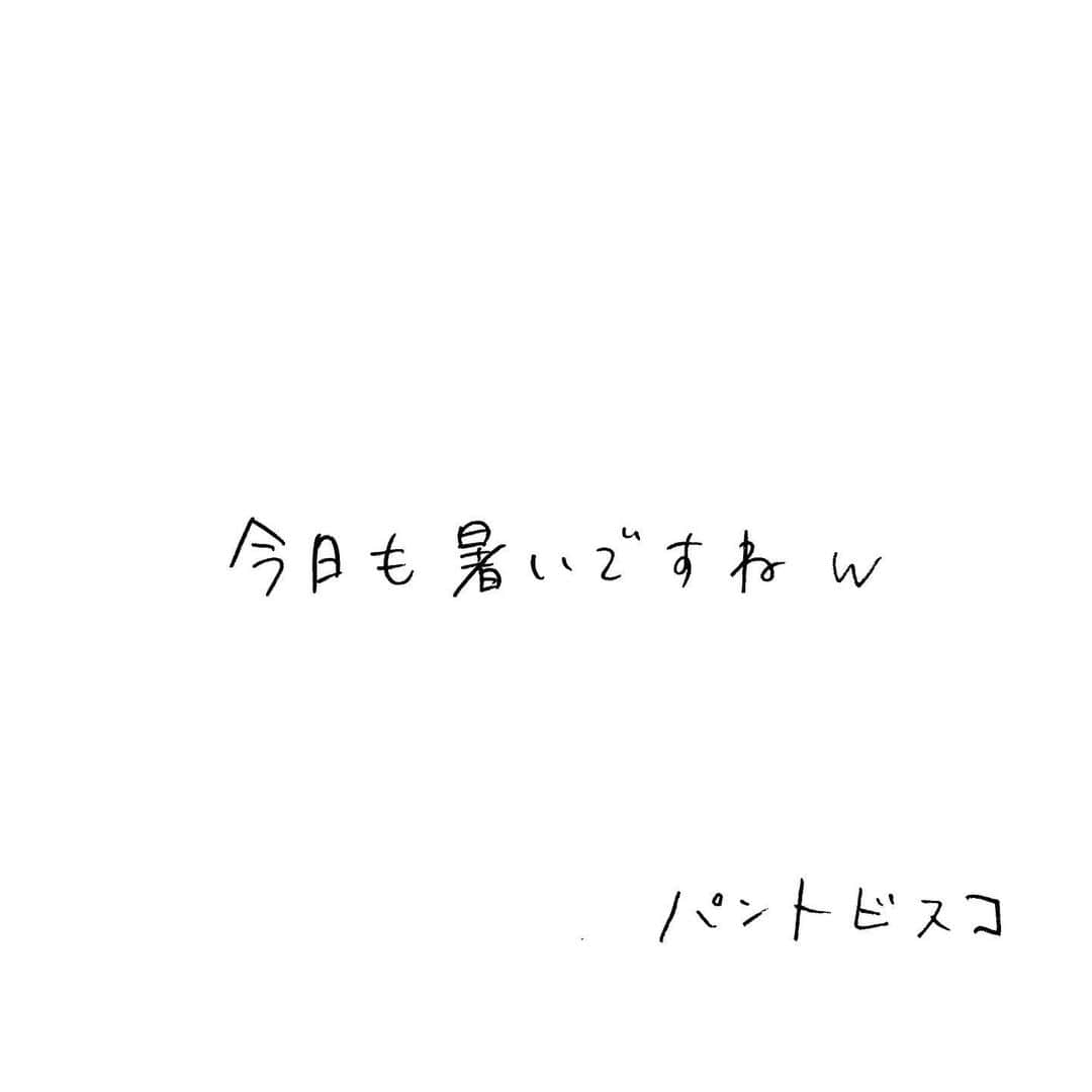 pantoviscoさんのインスタグラム写真 - (pantoviscoInstagram)「今日も暑いですね」8月18日 14時05分 - pantovisco