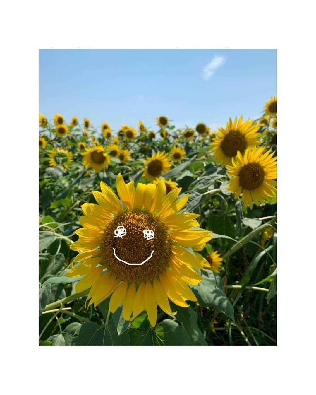 中根夕希のグルメインスタ