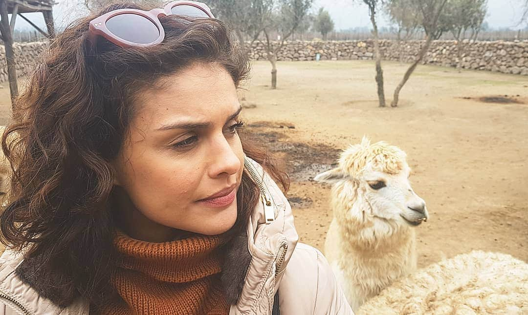 パロマ・バーナーディさんのインスタグラム写真 - (パロマ・バーナーディInstagram)「Qualquer semelhança é mera coincidência...rs 🍁🦙🍁 #Alpaca #FazendoNovasAmizades #Chile @321chile」8月19日 0時09分 - palomabernardi