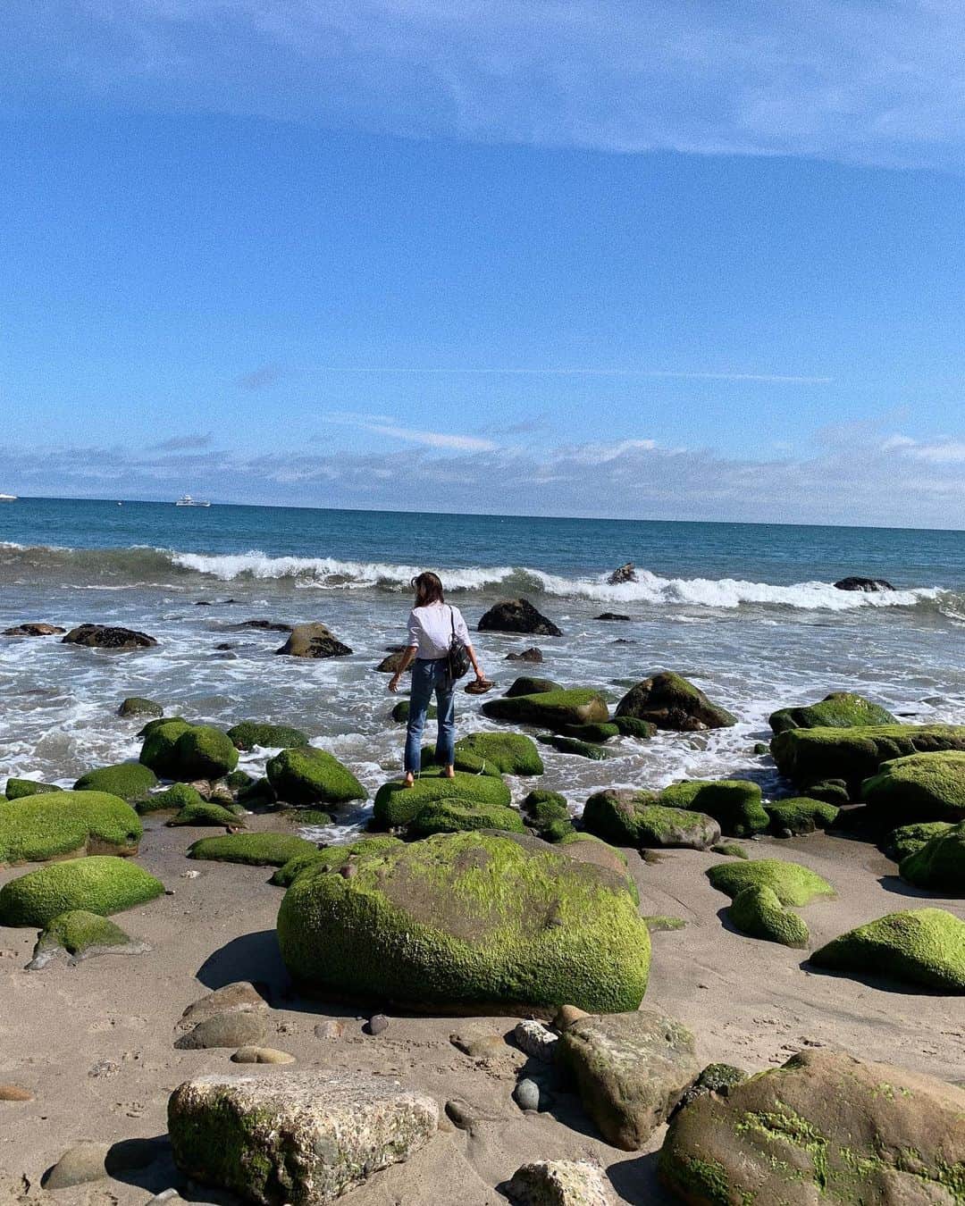 のインスタグラム：「Looking out on a Sunday morning, standing on a slippery rock, all I was thinking is... imagine if a big wave comes and ... well the story doesn’t end well. At least I’d be up on @kookslams ... maybe . I thought that was 😎 #sundaymornings」