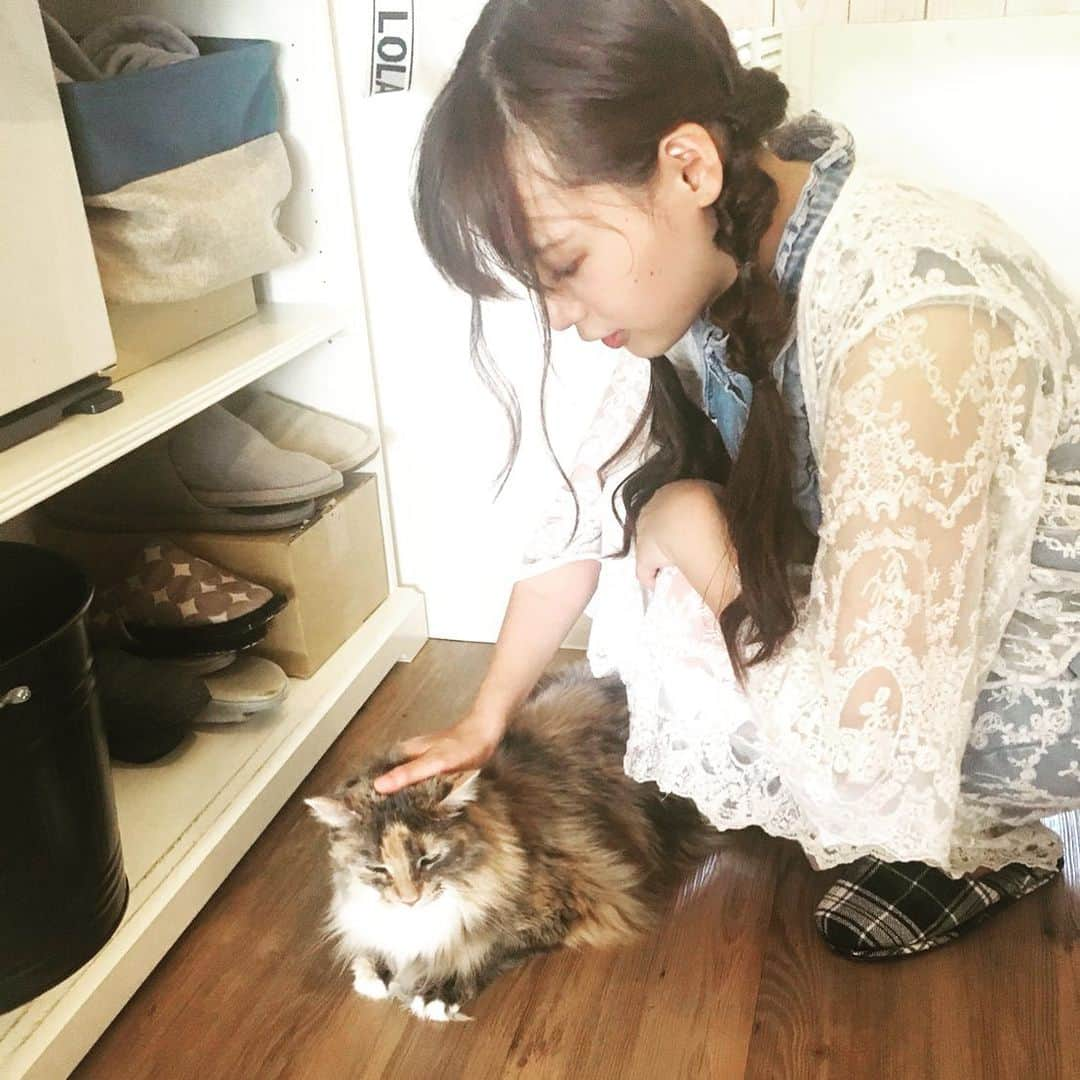 立野沙紀さんのインスタグラム写真 - (立野沙紀Instagram)「24年間生きてきて猫触ったの初めてに近いかも、、、。 #instagood #instaphoto #cat #cafe #catcafe #猫カフェ #🐱#cute」8月19日 0時24分 - saki_tateno