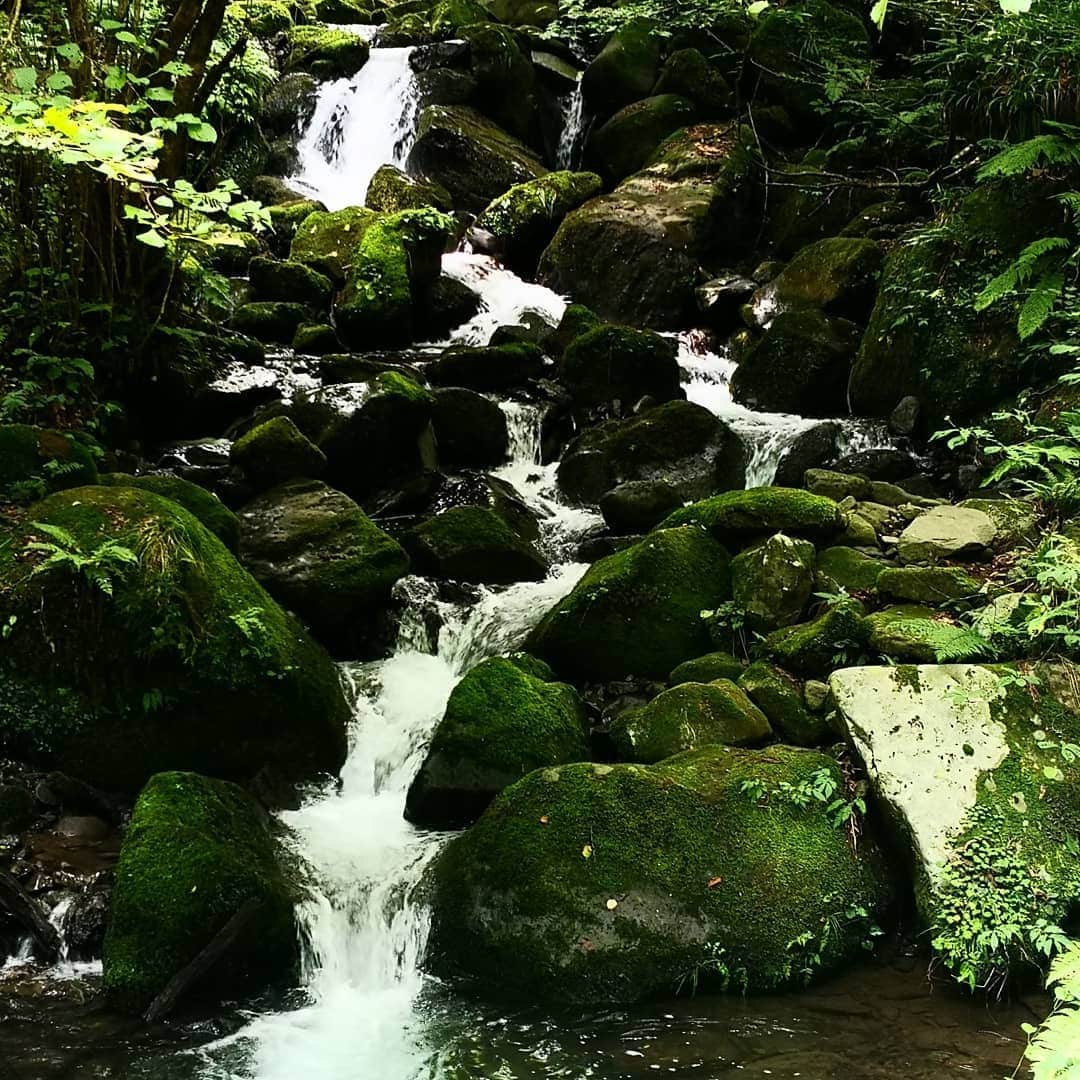 岡田達也さんのインスタグラム写真 - (岡田達也Instagram)「鳥取のパワースポット『雨滝』。 何十年ぶりに足を伸ばしてみました。 マイナスイオン浴びまくり。 最高です。  #鳥取 #国府町 #扇ノ山 #雨滝川 #雨滝 #岡田達也」8月18日 16時27分 - tatsuyajiru