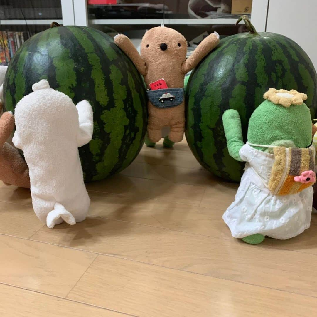 江口ともみさんのインスタグラム写真 - (江口ともみInstagram)「前にスイカ🍉大きいの届いた時に オラみんなに協力してもらってバランス取ってみた👍  #fumofumosan #フモフモさん #もぐたろう #スイカ」8月18日 16時27分 - tomomin.eguchi