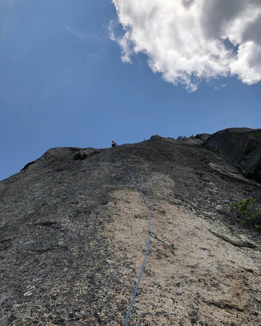 植田夢月さんのインスタグラム写真 - (植田夢月Instagram)「・ 8/17 太陽の登 / 5.12c, 6P 5P目まで ・ スコーミッシュ前のラスト瑞牆。台風一過の猛暑日だけど、乾いてそうな太陽の登へ。  夫は、このコンディションの中、5.12台のピッチを全て完登。なんか最近強いな。 私は、またもやこてんぱんに。花崗岩スラブの良い練習ができた、とポジティブに捉えておこう。うん。  特に、2P目・3P目は、スケールも内容もロケーションも素晴らしいピッチ。  岩だからしょうがないんだけど、身長/リーチがないと強度がグンと上がる核心が、何箇所かある。 女子クライマー達はどう攻略してるのだろう？とびっくりした。3P目の核心とか、みんなどうしてるの？横ランジしてるの？？ ・ 以下、登攀記録。  1P目 5.12a 夫リードでOS。私はフォローで上がったが、荷物を背負ってるのもあってか、中間部と最後の核心はできずゴボウ。  2P目 5.12a 私リード。最後の核心でフォール。 ボルト位置からして右上に行くと分かっていつつ、その箇所のムーブが解決できなかったので、思い切って左上へ。そしたら踏み込んでいたフットホールドが周りの岩ごと剥がれ、気がついたらだいぶ下まで落ちていた。悔しい〜。 選手交代し、夫がフラッシュ。  3P目 5.12c 夫リード。下部のリーチーな核心で1度フォール。取付きに戻り、次のトライでRP。上部はオンサイト状態だったのにすごい👏 私は、今度は荷物なしでフォロー。下部の核心は解決できず。中間部の短いクラックから上はなんとかノーテン。 約35mの長さがありながら、最初から最後までシビアな動きが続くのがすごい。  4P目 5.10a 私リード。ボロボロの短いスラブ。ある意味怖かった。  5P目 5.12a 夫リード。OS。 諸事情でここでトライを終了し、懸垂下降。 ・ 夫は、スコーミッシュに向けて弾みがついた様子。 一方、私は色んな意味で不安が強まるばかりだが、色々反省しつつ、あとは現地で頑張るのみ。とりあえず晴れるといいなぁ。 ・ ・ 1枚目&2枚目: 3P目を上と下から撮影」8月18日 17時11分 - dream_moco