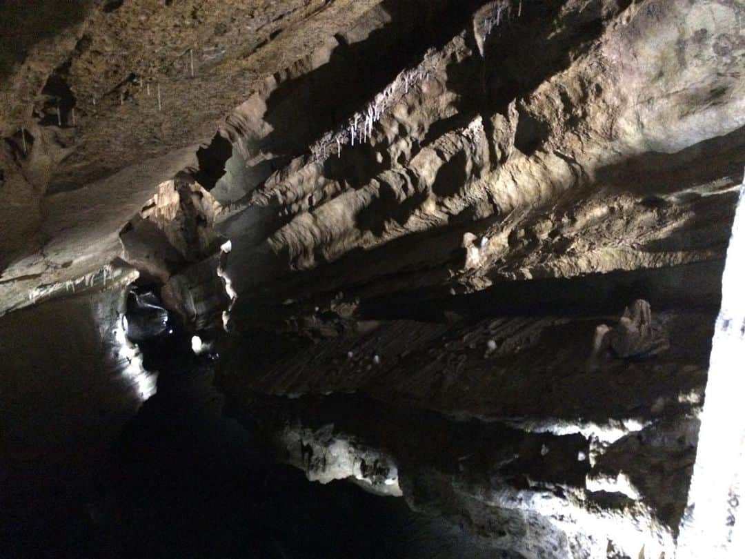 福間洸太朗さんのインスタグラム写真 - (福間洸太朗Instagram)「Cave adventure!! Do you guys see a face on the right column on the first photo?👀 #Grottes #remouchamps #cave #adventure #aventure #nature #belgique #belgium #洞窟 #グロット洞窟群」8月18日 17時18分 - kotarofsky