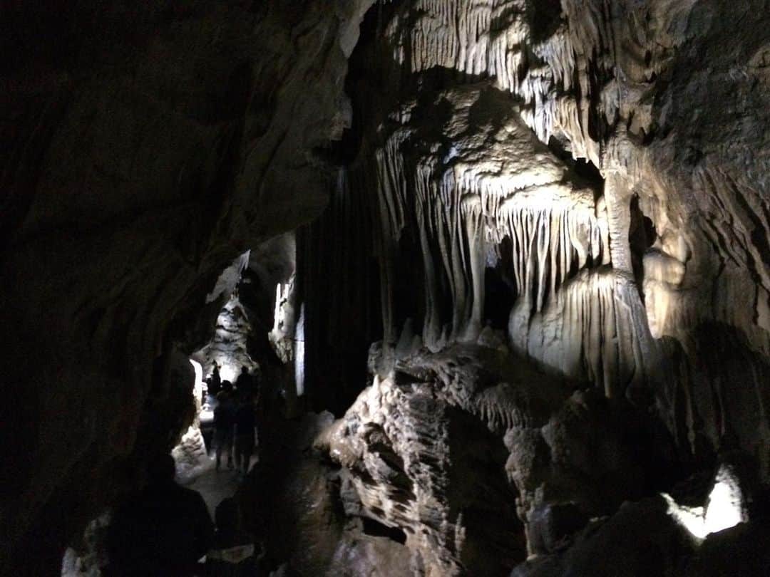 福間洸太朗さんのインスタグラム写真 - (福間洸太朗Instagram)「Cave adventure!! Do you guys see a face on the right column on the first photo?👀 #Grottes #remouchamps #cave #adventure #aventure #nature #belgique #belgium #洞窟 #グロット洞窟群」8月18日 17時18分 - kotarofsky