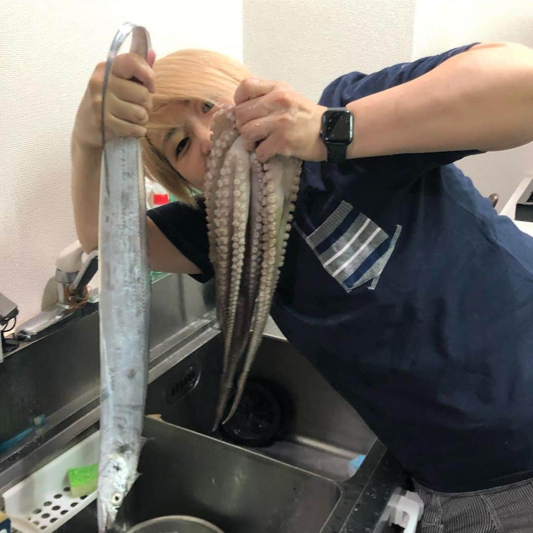 堀田祐美子さんのインスタグラム写真 - (堀田祐美子Instagram)「知り合いが釣ってきたタコと太刀魚。  魚の下処理〜調理法はググれば直ぐに出てくるから意外と簡単！！ タコは茹でて刺身に。  太刀魚は塩焼きとムニエル。  鮮度が良いものは美味しい💕  魚さばきにハマりそう…  次も何か釣って持ってきてーとお願いしました😊✨ 見つめられてもコナふぅは食べれないよ‼️ #yumikohotta#堀田祐美子#woman's #prowrestling#女子プロレス#awg#アクトレスガールズ#アクトレスガールズプレイングマネージャー#犬#dog#bulldog#ブルドッグ#ホワイト#white#ホワイトブルドッグのふぅら#whit bulldog#ブヒ#鼻ぺちゃ#可愛い#toypoodle#トイプードル#コナ#ハーツ82#武蔵小山#スナック#魚さばき#太刀魚#タコ」8月18日 17時53分 - yumiko_hotta