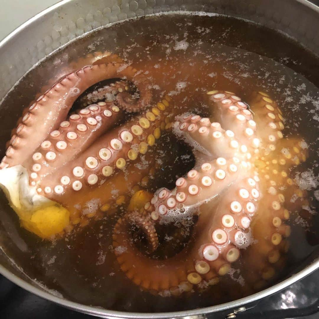 堀田祐美子さんのインスタグラム写真 - (堀田祐美子Instagram)「知り合いが釣ってきたタコと太刀魚。  魚の下処理〜調理法はググれば直ぐに出てくるから意外と簡単！！ タコは茹でて刺身に。  太刀魚は塩焼きとムニエル。  鮮度が良いものは美味しい💕  魚さばきにハマりそう…  次も何か釣って持ってきてーとお願いしました😊✨ 見つめられてもコナふぅは食べれないよ‼️ #yumikohotta#堀田祐美子#woman's #prowrestling#女子プロレス#awg#アクトレスガールズ#アクトレスガールズプレイングマネージャー#犬#dog#bulldog#ブルドッグ#ホワイト#white#ホワイトブルドッグのふぅら#whit bulldog#ブヒ#鼻ぺちゃ#可愛い#toypoodle#トイプードル#コナ#ハーツ82#武蔵小山#スナック#魚さばき#太刀魚#タコ」8月18日 17時53分 - yumiko_hotta