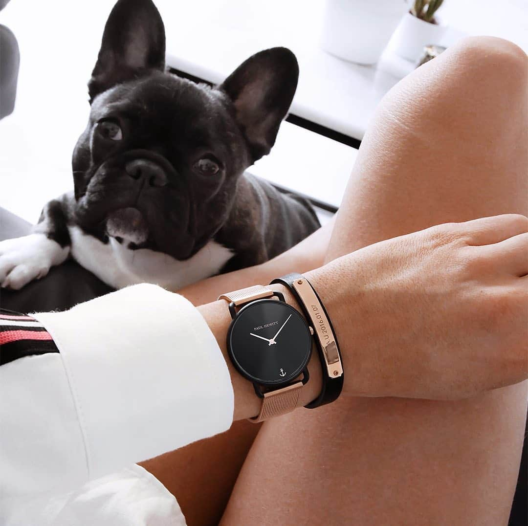 PAUL HEWITTさんのインスタグラム写真 - (PAUL HEWITTInstagram)「Some things just fill your heart without trying. 💞🐾⚓️ (photo @karolinlisa) #getAnchored #paulhewitt #missocean #signum __ #wristlook #dogs #dogsofinstagram #bulldog #frenchie #love #womenswatch #rosegold #blackdetails #womensbest #bestofinstagram」8月18日 18時05分 - paul_hewitt