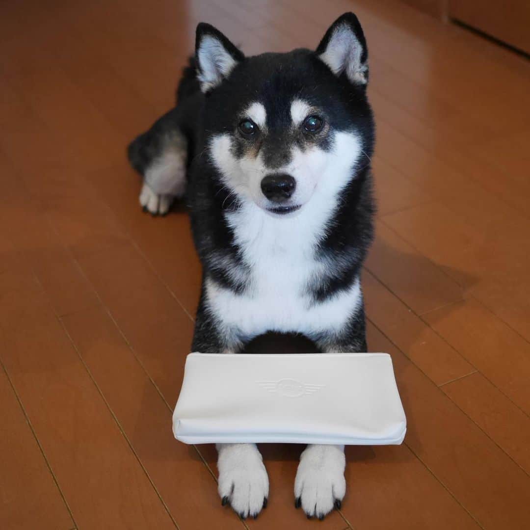 くろさんのインスタグラム写真 - (くろInstagram)「ひさびさにMINIの試乗なんぞ🐾 流石は直営ですな🚘試乗車乗り放題 ノベルティもいただきました🙇‍♂️ #mini #minibmw #mini60yearsedition #ミニ60周年 #ミニ60周年モデル  #ミニノベルティ #MiniTokyoBay」8月18日 18時46分 - m6bmw