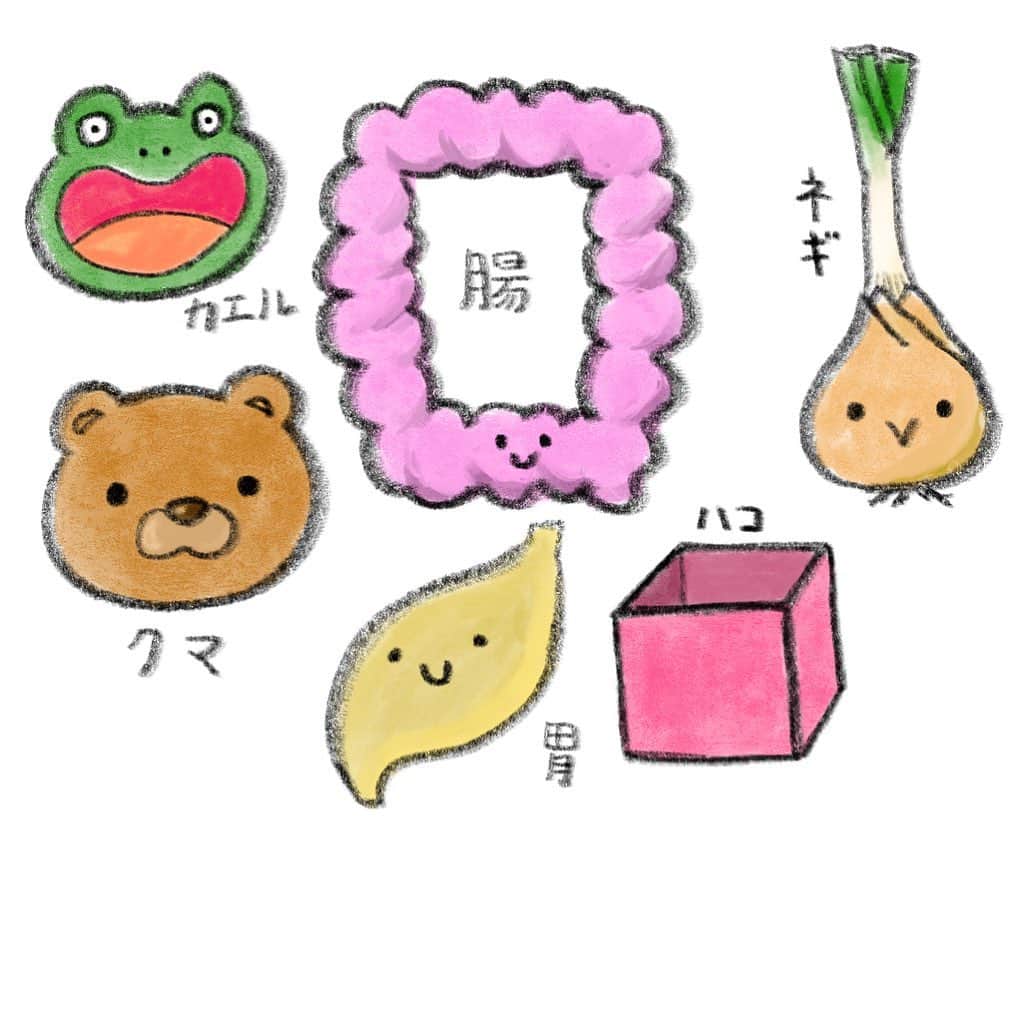  吉永龍樹のインスタグラム：「ふとい鉛筆で書く ・ ・ ・ #カエル #腸 #ネギ #クマ #胃 #ハコ #LINEスタンプ #パリピ #僕秩 #ヨシナガ #dfnt #illustration #イラスト #いらすと #どうぶつ #kawaii #絵 #drawing #キャラクター」