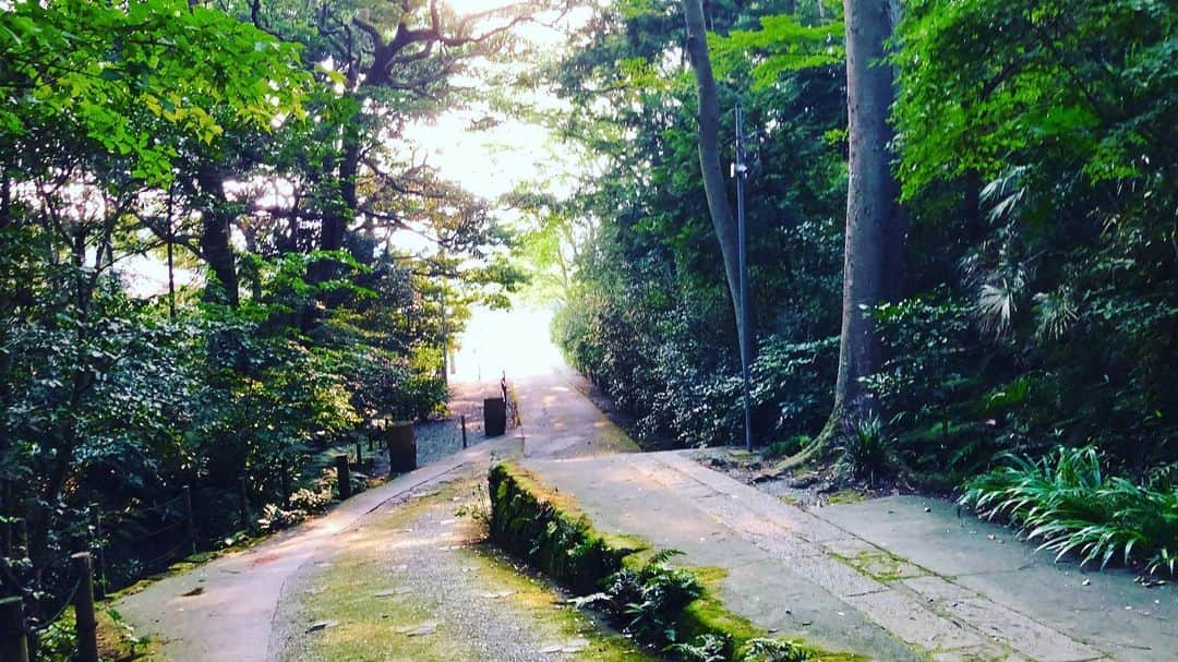 井上幸太郎さんのインスタグラム写真 - (井上幸太郎Instagram)「三週続けて甥っ子達と海へ。 海欲が止まらない 笑  海から戻り妙本寺散歩。 やっぱ地元が一番落ち着くわ。。。」8月18日 19時02分 - kotarokaya