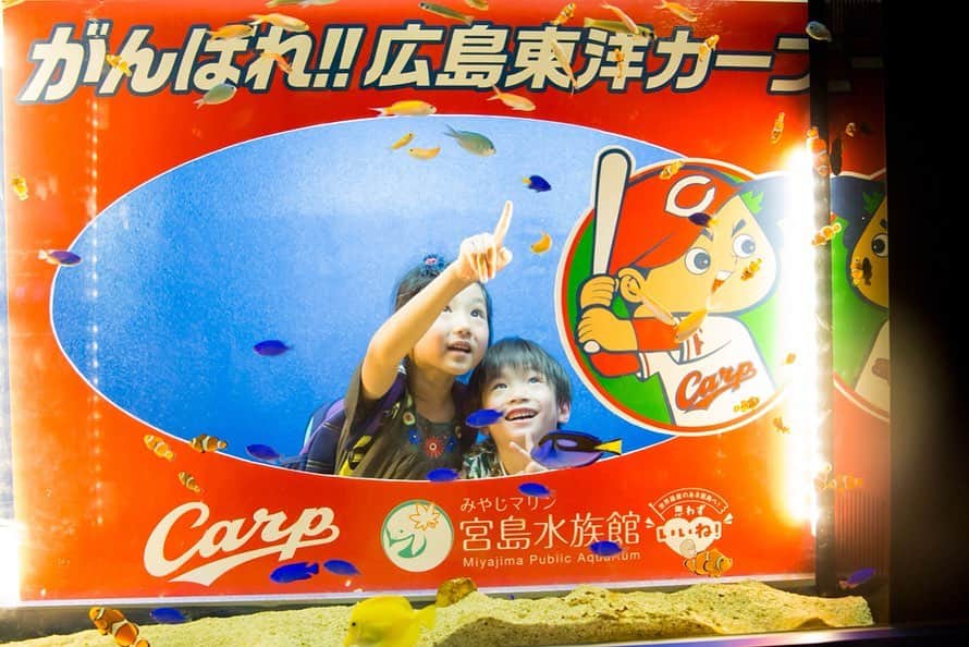 あすかさんのインスタグラム写真 - (あすかInstagram)「✱ 広島記録③宮島水族館 ✱ 箱の中はなんだろな？ でドキドキお触り体験ができたり ザリガニ釣りやカブト虫が触れたり でっかいトドが近づいて来たり♪ 水族館はほんと癒されて ずっと見ていたい場所。 でも子供達はどんどん進むから あっという間に出口😅💦 ✱」8月18日 19時01分 - asuuuka_